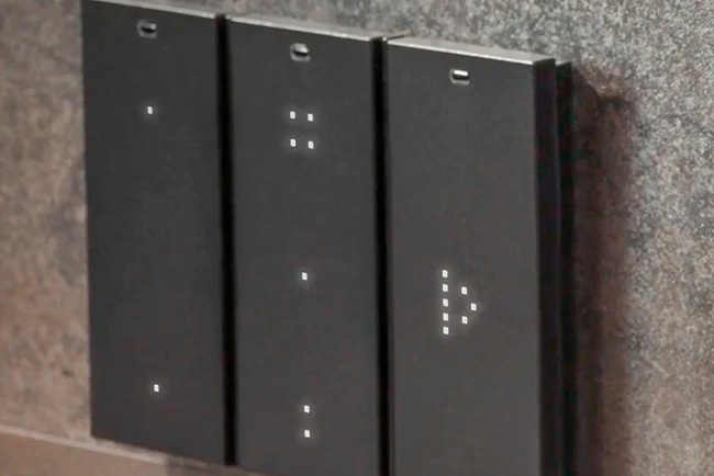 lmnic-1